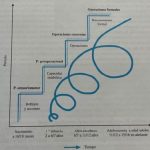 Afecto Movimiento e Interacción: Fundamentos del Desarrollo