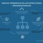 Análisis de la Estructura Organizacional Moderna