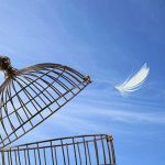 Ansiedad: Camino Interior hacia la Libertad Personal