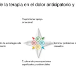 Apego y EMDR: Soluciones Terapéuticas Efectivas