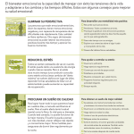 Apoyo emocional: Una guía para el bienestar psicológico