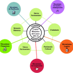 Base conceptual y teórica de la investigación