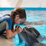 Beneficios de la Terapia con Delfines