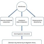 Beneficios del mindfulness demostrados por evidencia científica