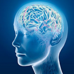 Beneficios y aplicaciones de la estimulación eléctrica cerebral