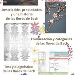 Beneficios y secretos de las Flores de Bach