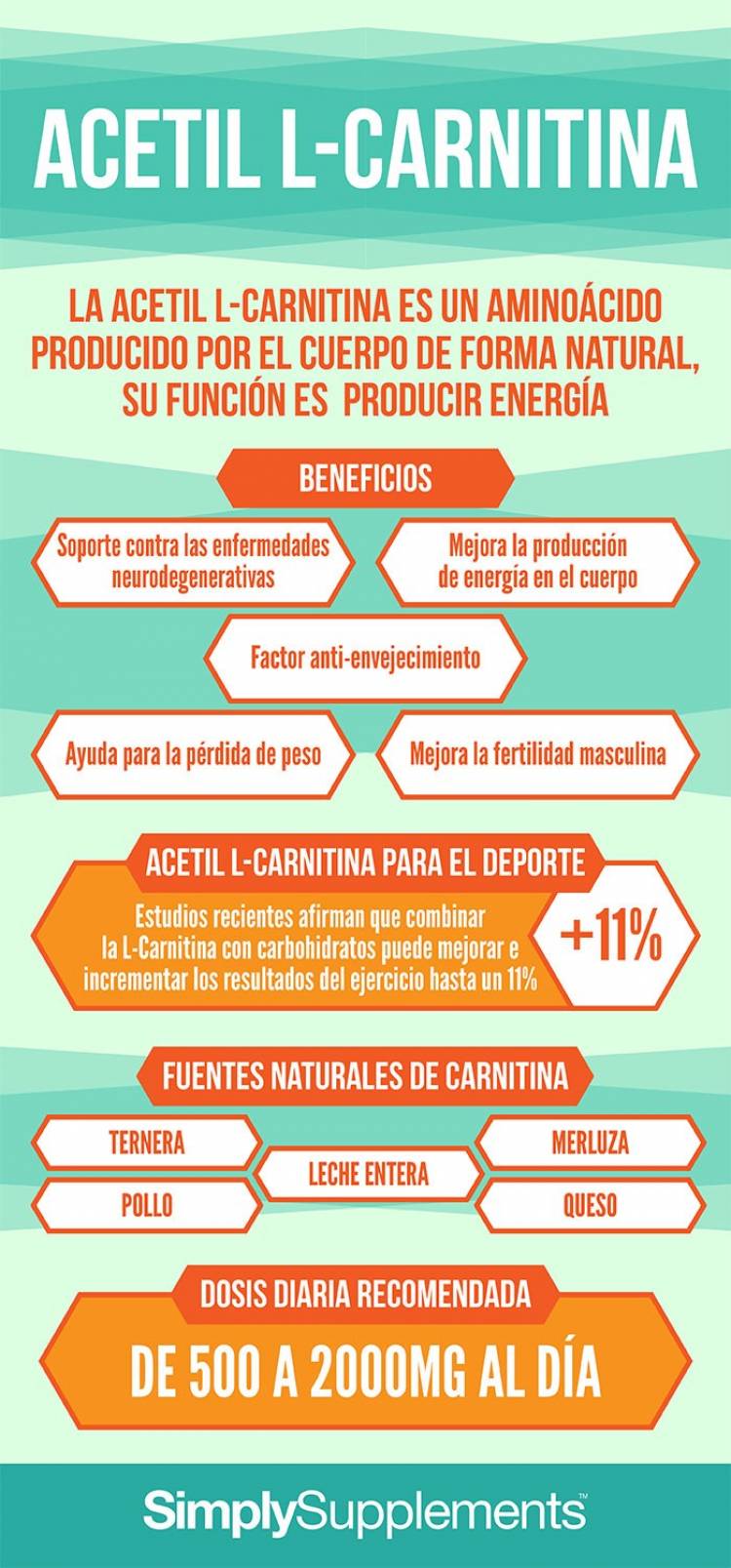 Beneficios y usos de la L-carnitina para la salud