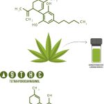 Cannabinol: solución efectiva para problemas de sueño
