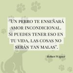 Citas Inspiradoras sobre Perros
