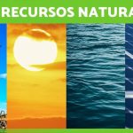 Clasificación Detallada de los Recursos Naturales