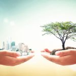 Claves para Entender Sustentable y Sostenible