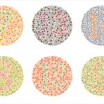 Colores del daltonismo: una visión alternativa del mundo