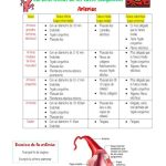 Comparación de venas arterias y capilares: claves y diferencias