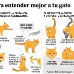Comportamiento Animal: Claves para Entender su Mundo