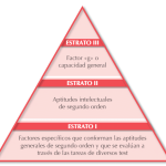 Conceptos Clave sobre Teorías Jerárquicas de la Inteligencia