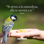 Conexión Profunda: Palabras que Evocan la Naturaleza
