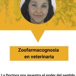 Conoce el poder curativo de la zoofarmacognosia