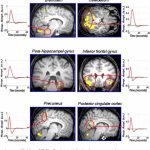 Conoce las funciones cerebrales durante el sueño