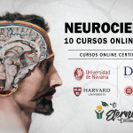 Cursos Gratuitos en Neurociencias: Educación Online para Todos