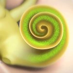 Desentrañando la Zoochosis: El Malestar de los Animales en Cautiverio
