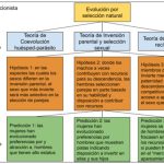Diferencias entre Psicología Evolutiva y Psicología Evolucionista