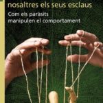El enigma de Anauralia: un mundo por revelar