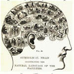 El enigma del fascículo arqueado: conexiones cerebrales