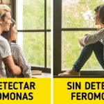 El fascinante impacto de las feromonas en nuestros sentidos