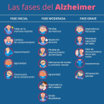 Etapas del desarrollo de la demencia