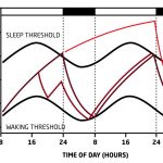 Etapas del sueño: un viaje profundo y restaurador