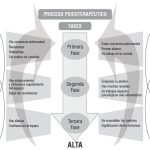 Etapas Esenciales en el Proceso Psicoterapéutico