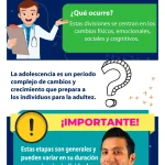 Fases del Desarrollo Adolescente