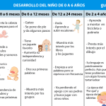 Fases del Desarrollo Infantil: Una Guía Completa
