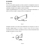 Fenómeno Visual: El Enigma de Müller-Lyer