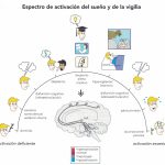 Fenómenos de la mente antes del sueño