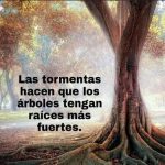 Fortalece tu resiliencia en épocas de adversidad