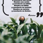 Frases para cultivar el perfeccionismo saludable