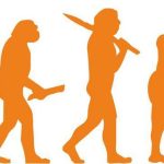 Fundamentos del Evolucionismo en la Historia Natural