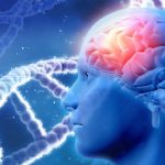 Genética: Clave en la inteligencia humana