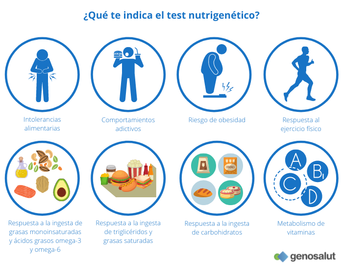 Guía esencial del test nutrigenético