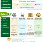 Guía para eliminar pulgas en perros eficazmente