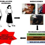 Guía sobre el Índice Aterogénico y su Importancia