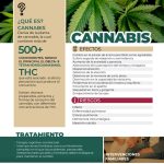 Guía sobre el tratamiento psicológico para la adicción al cannabis