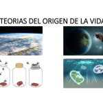 Hipótesis sobre el Origen de la Vida