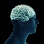 Impacto cerebral de la cosificación sexual en hombres y mujeres