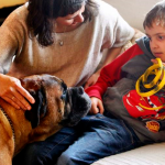 Impacto de las mascotas en niños con autismo