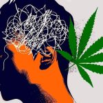 Impacto del cannabis en el desarrollo de brotes psicóticos
