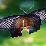 Impacto del Efecto Mariposa en Nuestra Realidad