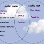 Impacto del trastorno de conducta del sueño REM