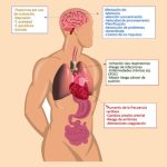 Impactos del hachís en la salud y bienestar